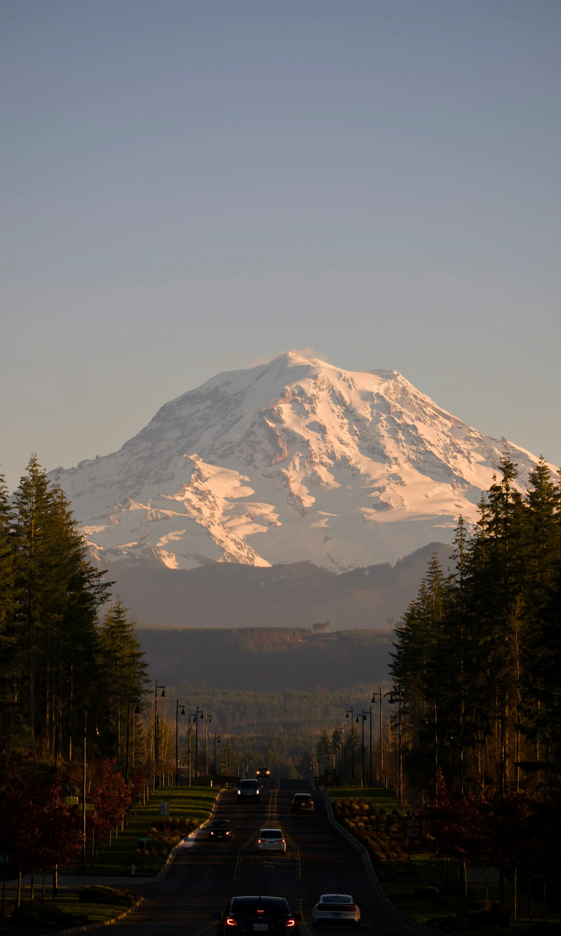 Mount Rainier at the end of a tree-lined road