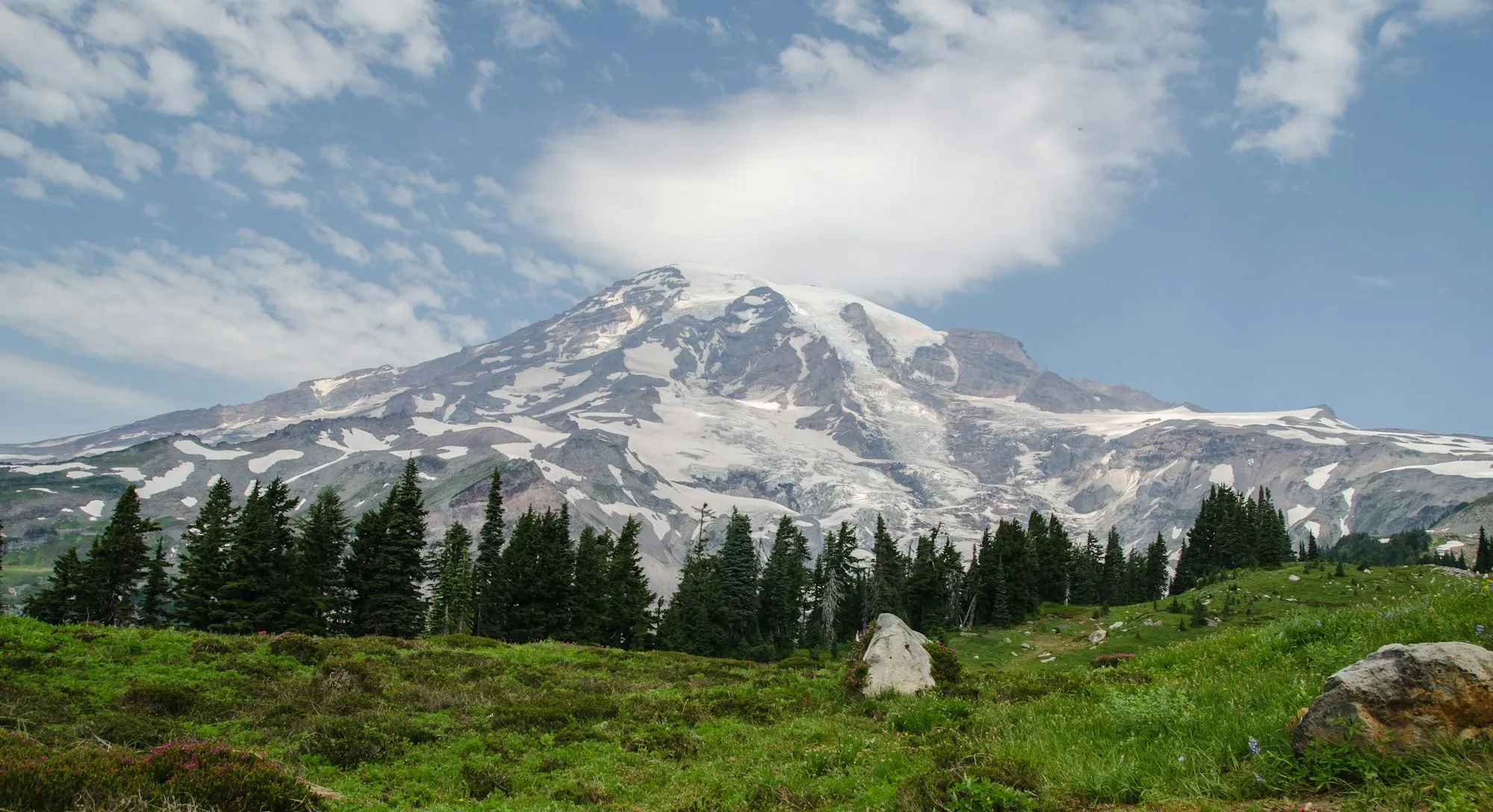 Mount Rainier above an alpine meadow and evergreens