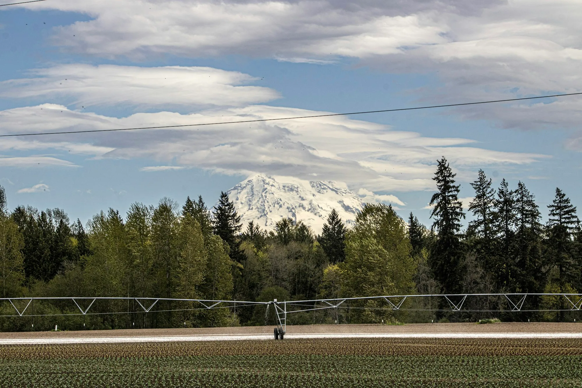 Mount Rainier above a valley farm and tree line