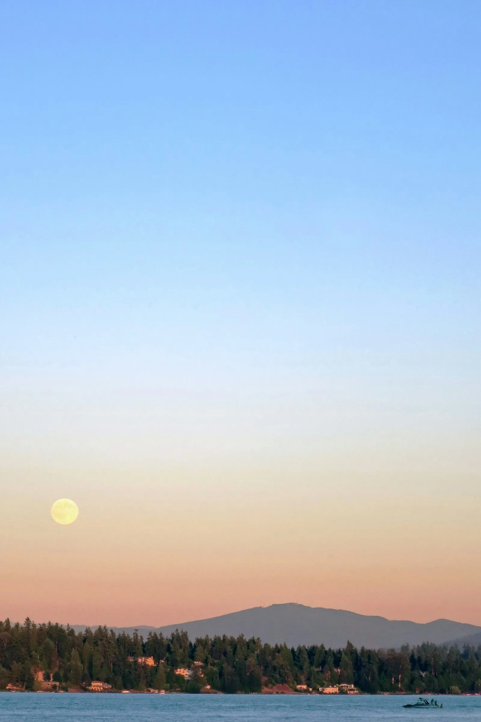 The moon rising over calm Puget Sound water at dusk